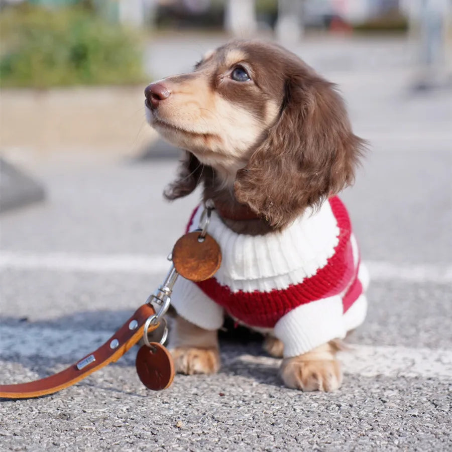 Dackel Pullover Weihnachten