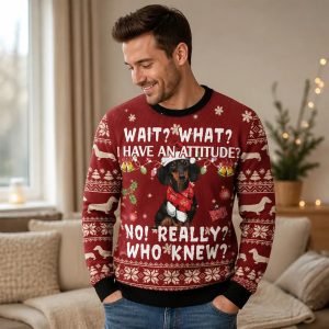 Dackel Pulli Weihnachten