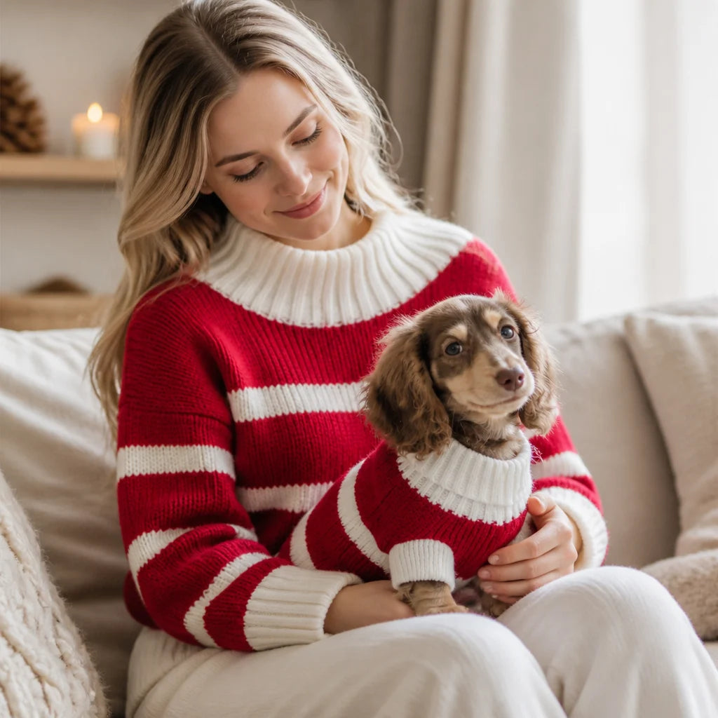 Dackel Pullover Weihnachten