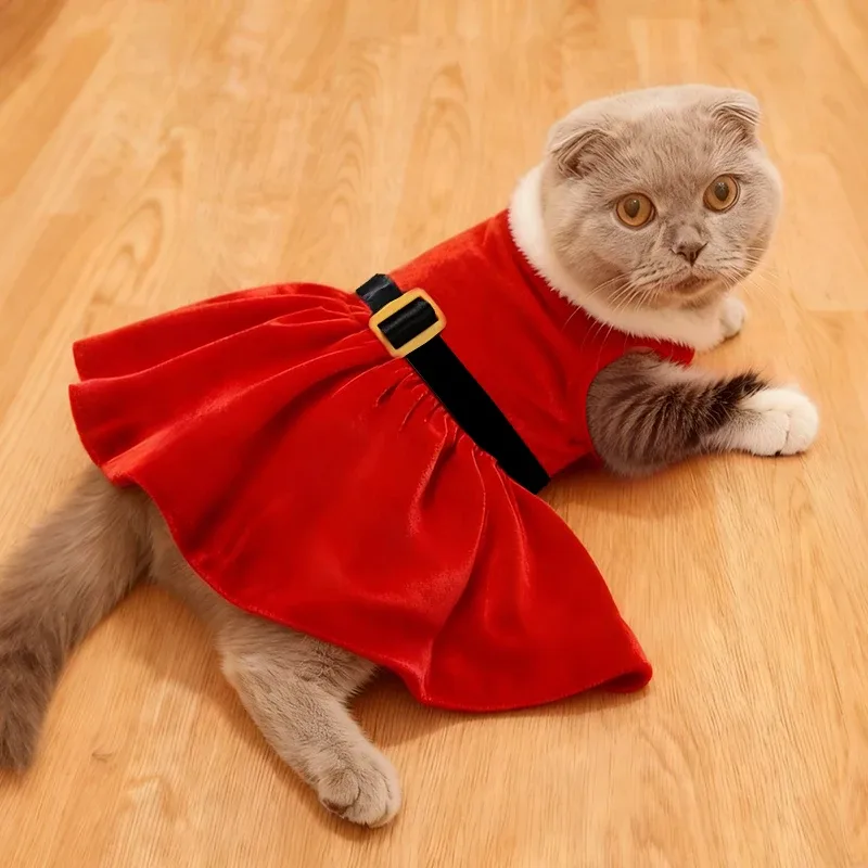Christmas Dress For Cats 1